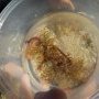 Des synaptes accrochées à des algues